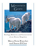 Mountain Goats, Ecology, Behavior and Conservation of an Alpine Ungulate